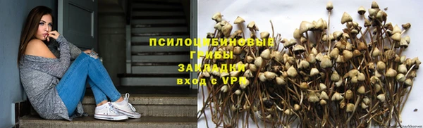 эйфоретик Беломорск
